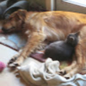 Meet your Posher, Celine